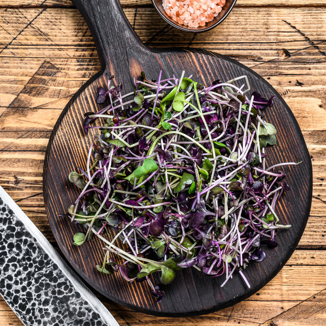 Radish Microgreens