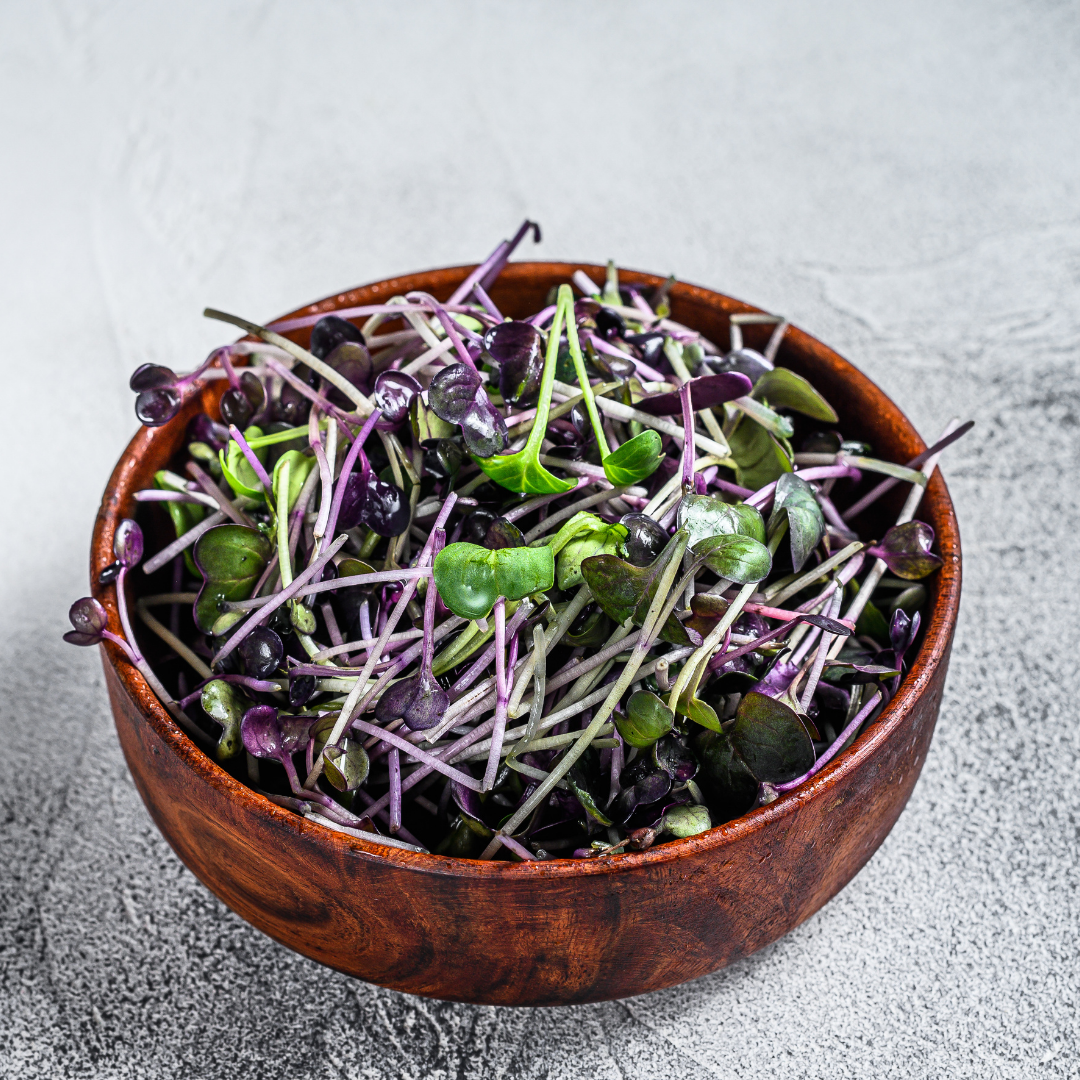 Radish Microgreens