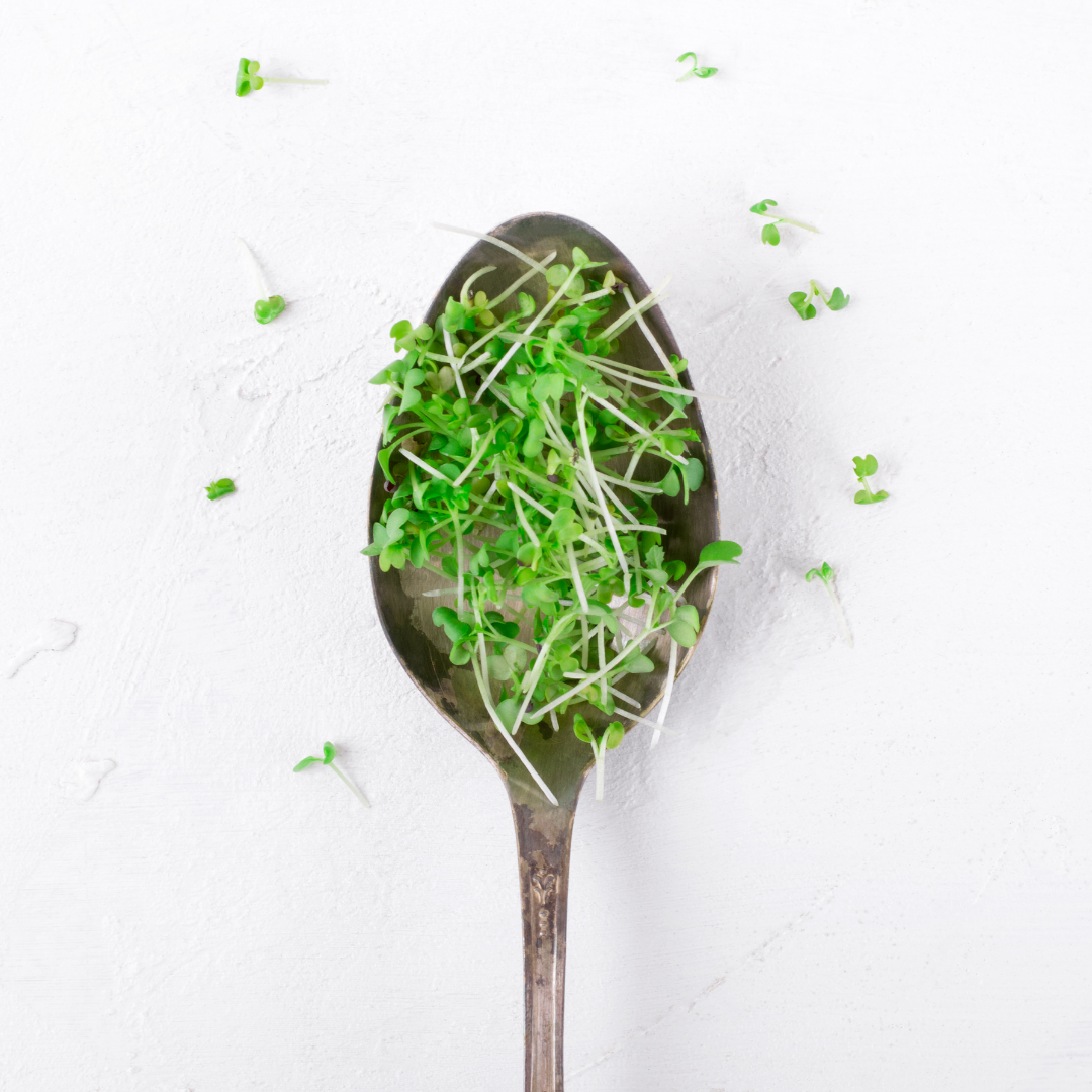 Crunch Mix Microgreens